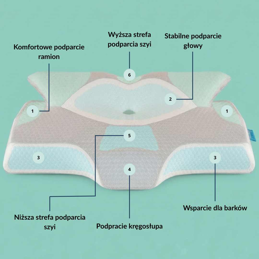 Strefy podparcia w poduszce ortopedycznej NOX